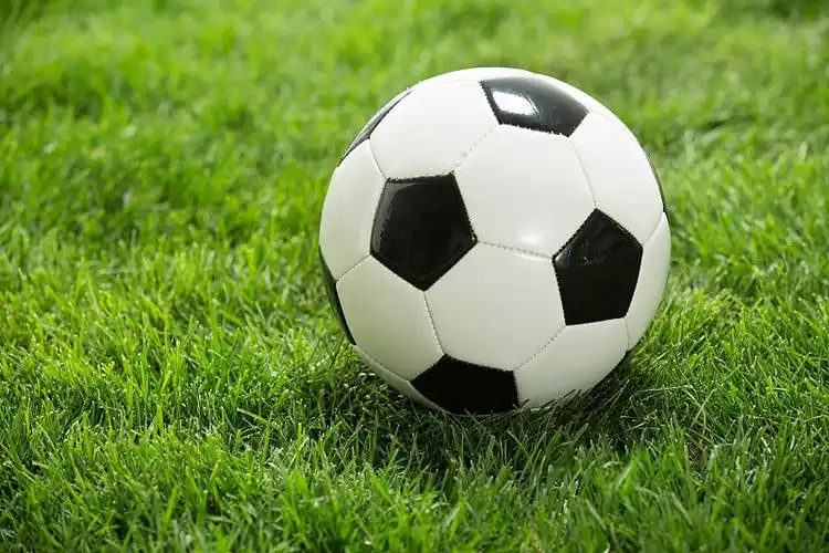 手机捷报即时比分常见问题帮助中心